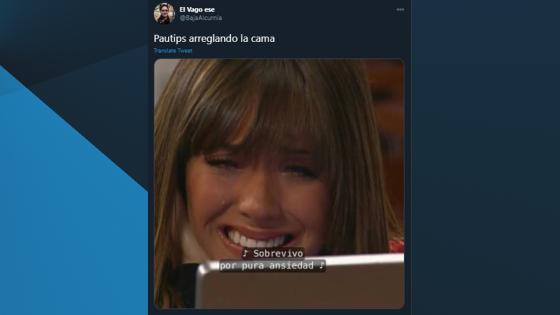 Meme del video de Pautips.