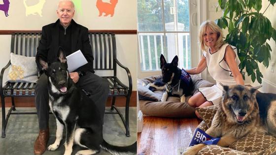 alt joe biden alt joe biden