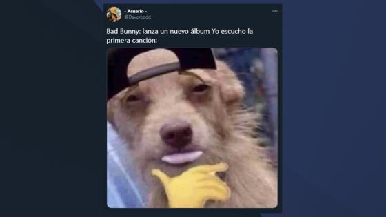 Memes del nuevo álbum de Bad Bunny. Memes del nuevo álbum de Bad Bunny.