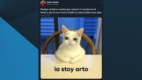 Meme del video de Pautips.