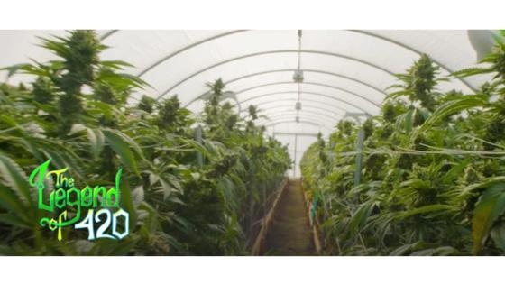 The Legend of 420. The Legend of 420.