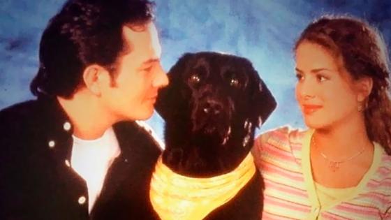 Perro amor Perro amor