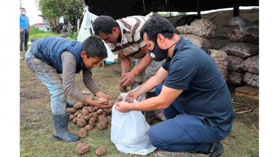 cultivadores de papa en Colombia