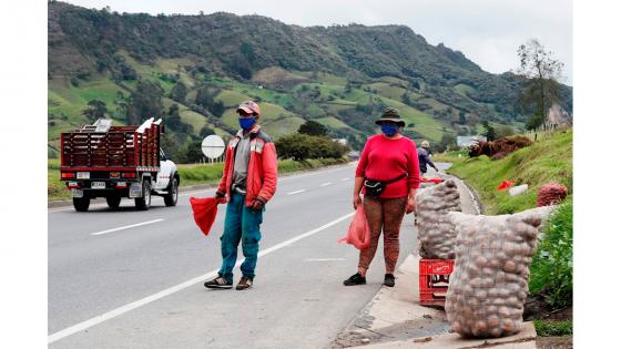 cultivadores de papa en Colombia