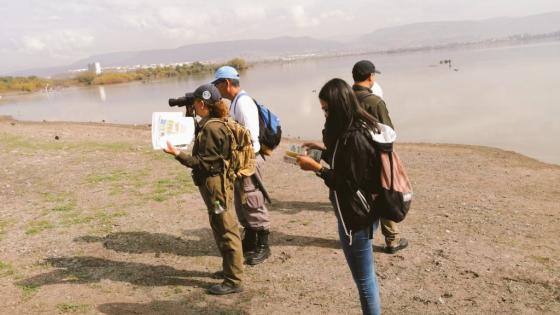 ¿Por qué México dejó sin recursos a la protección ambiental? ¿Por qué México dejó sin recursos a la protección ambiental?