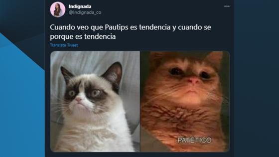 Meme del video de Pautips.