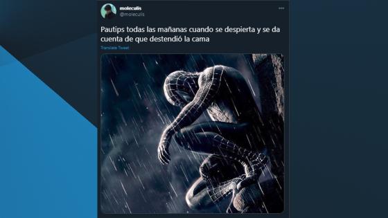 Meme del video de Pautips.