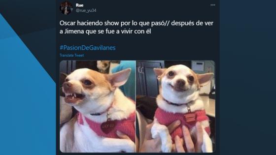 Memes de la pelea de Oscar y Fernando en Pasión de Gavilanes.
