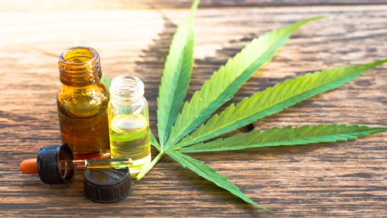 Proyecto busca fortalecer el sector productivo del cannabis en Bogotá Proyecto busca fortalecer el sector productivo del cannabis en Bogotá