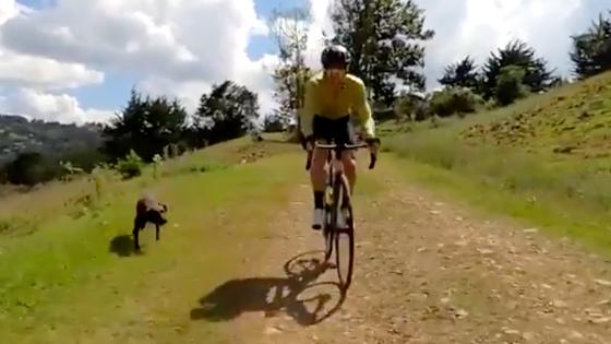 El Nuevo Y Exigente Companero De Rigoberto Uran Kienyke