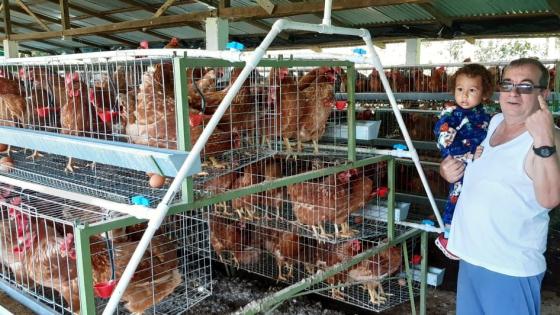 Timochenko visita gallinas con su hijo