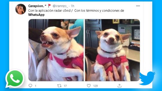 Los memes Whatsapp Los memes Whatsapp