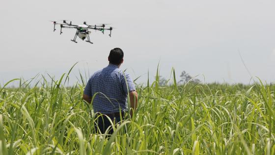 Incautan marihuana que pretendía entrar a La Joya en drones