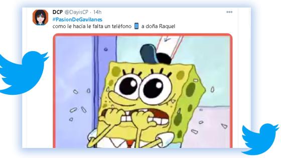 'Pasión de Gavilanes' en su recta final 'Pasión de Gavilanes' en su recta final