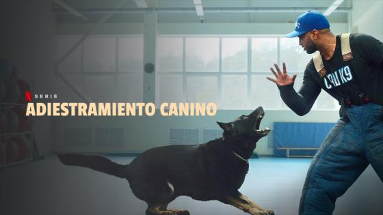 Adiestramiento Canino - Serie