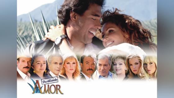 'Destilando amor' 'Destilando amor'