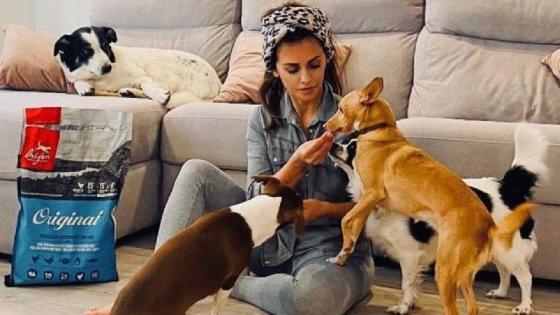 Las mascotas de los famosos Las mascotas de los famosos