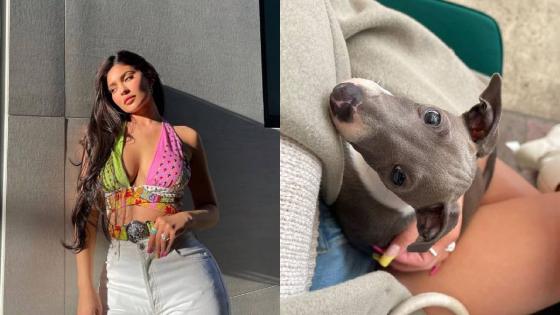 Las mascotas de los famosos Las mascotas de los famosos