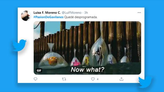 Memes Final Pasión de Gavilanes Memes Final Pasión de Gavilanes