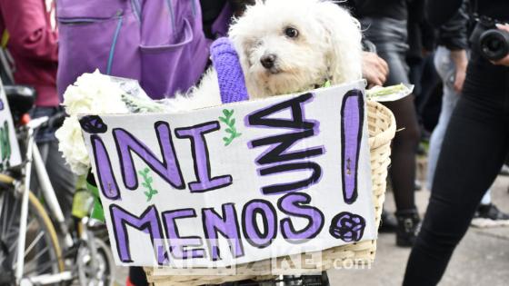 Lucha feminista en el Día Internacional de la Mujer