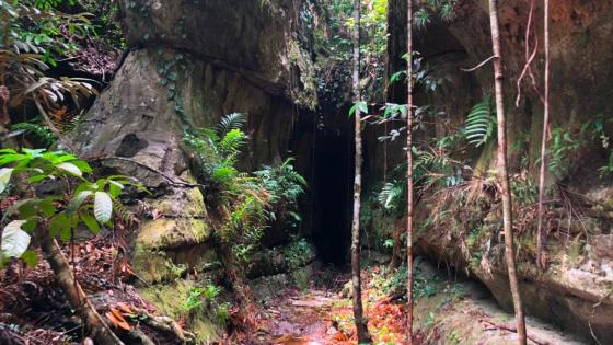 Puerta de Orión, una joya oculta en el Guaviare 4