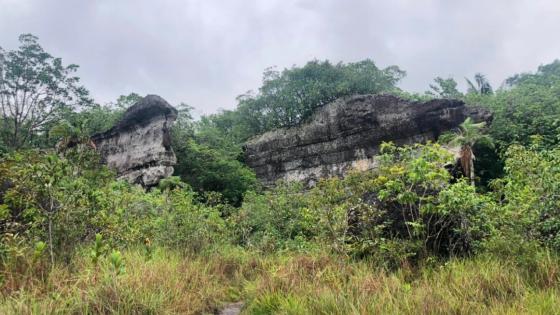 Puerta de Orión, una joya oculta en el Guaviare 6 Puerta de Orión, una joya oculta en el Guaviare 6