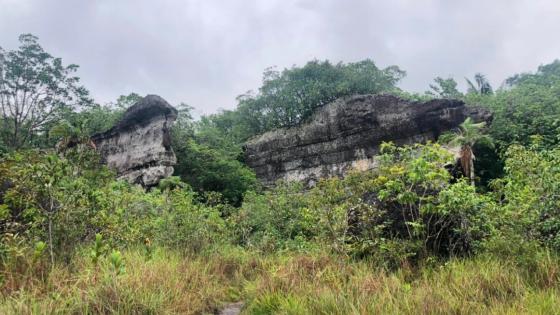 Puerta de Orión, una joya oculta en el Guaviare 6