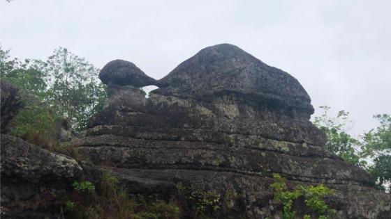 Puerta de Orión, una joya oculta en el Guaviare 7