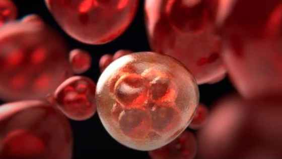 Cómo los científicos derribaron a la ‘Estrella de la Muerte’ del cáncer Cómo los científicos derribaron a la ‘Estrella de la Muerte’ del cáncer