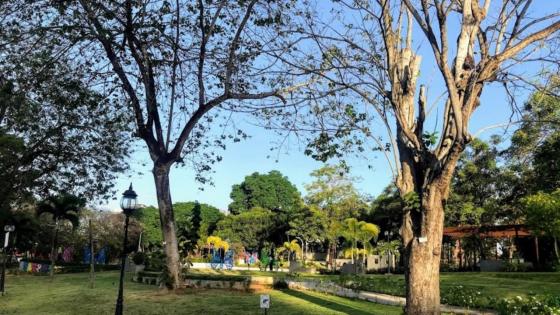 Detienen y sancionan a Mery Alfaro por no usar mascarilla en Parque Omar Detienen y sancionan a Mery Alfaro por no usar mascarilla en Parque Omar