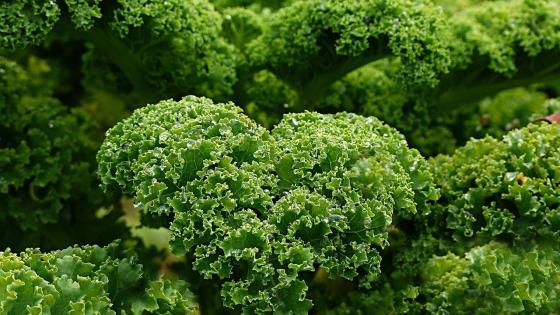 Kale Kale