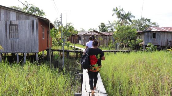 Ha vuelto el desplazamiento a El Charco (Nariño)