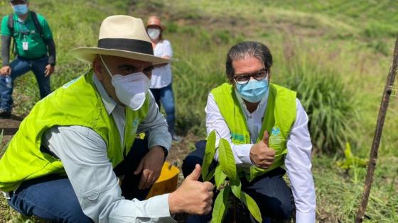 Banco Agrario lidera sembratón de árboles nativos