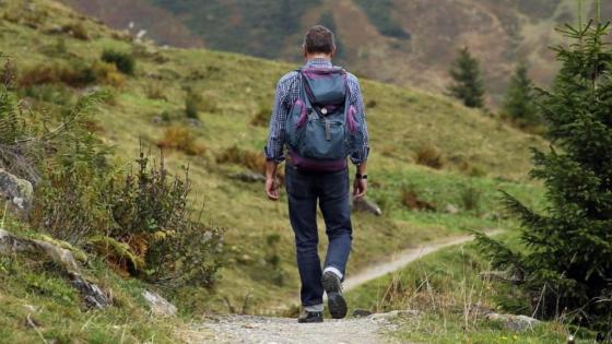 Caminatas ecológicas presenciales