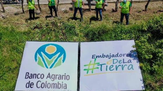 Sembratón Banco Agrario Sembratón Banco Agrario