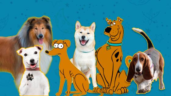 Perros más famosos del mundo Perros más famosos del mundo