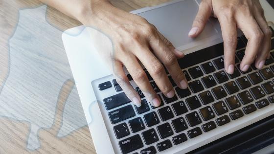 Feria virtual de empleo en Cundinamarca