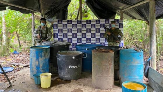 Destruyen 36 laboratorios para procesar coca en la Amazonía