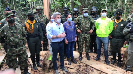 Estrategia Artemisa en Colombia