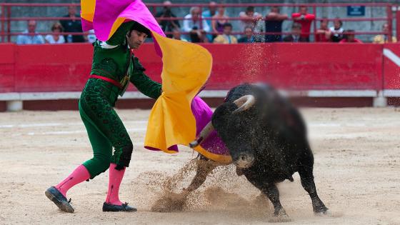 Feria Taurina de Cali 2021