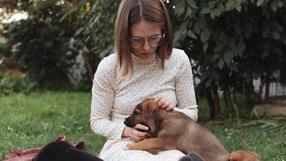 depresión-post-cachorro