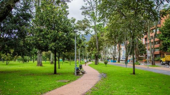 arbolado urbano en Bogotá