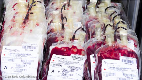 banco de sangre Cali