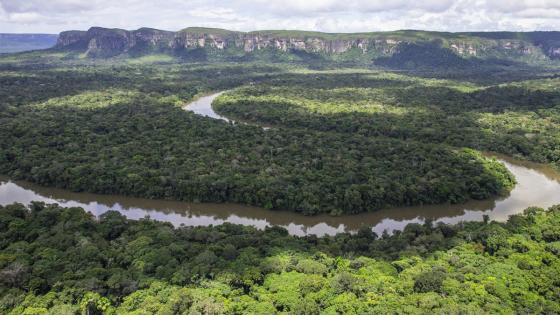 Amazonía