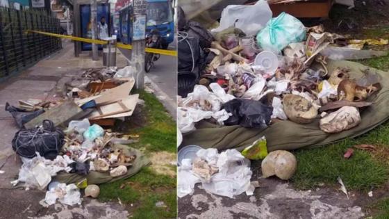 Restos óseos encontrados en Bogotá 