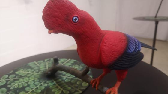 Nadin Ospina aves Medellin Nadin Ospina aves Medellin