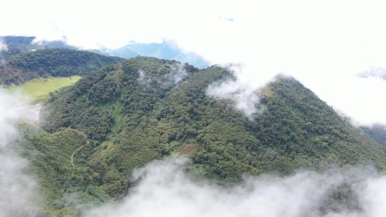 Cerro Machín fue declarado como área protegida por Cortolima  