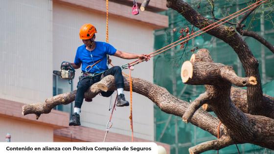 ¡Cuidado con las "afiliaciones de poste"! conozca cómo afiliarse legalmente