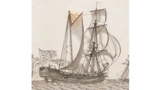 navio navio