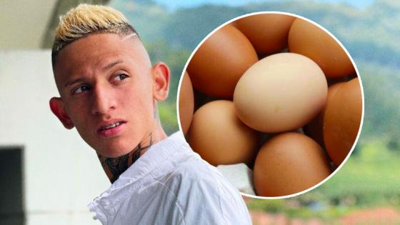 La liendra huevos